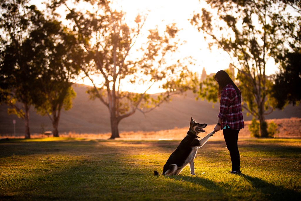 Joy’s Senior Photoshoot, 10/17/2020
