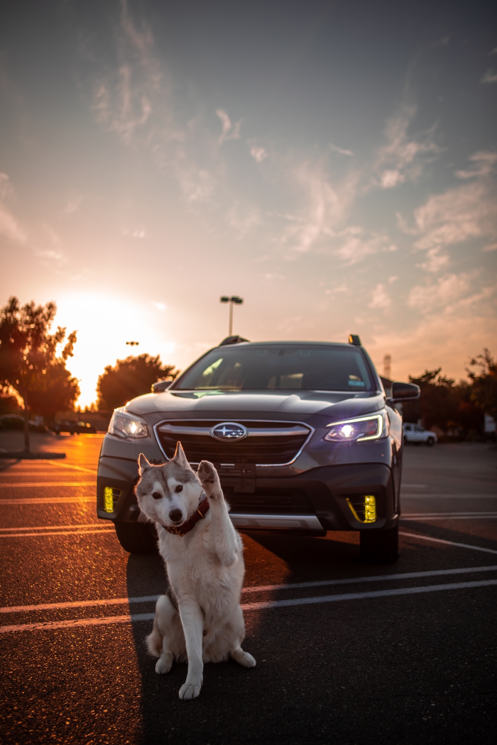 Featured by Subaru of America